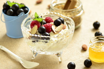 Homemade cottage cheese with berries, granola, almonds and honey for healthy breakfast
