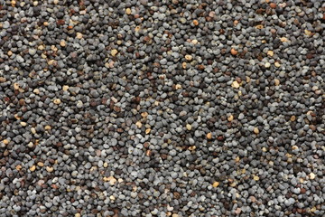 Macro of dried poppy seeds as a background.