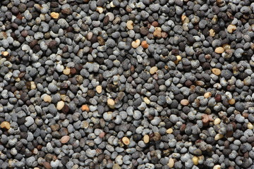 Macro of dried poppy seeds as a background.