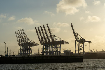 Fototapeta na wymiar hamburg harbor cranes that look like giraffes, germany