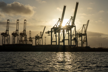 Fototapeta na wymiar hamburg harbor cranes that look like giraffes, germany