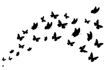 Plakat Vector silhouette of butterflies on white background. Symbol of nature and insect.