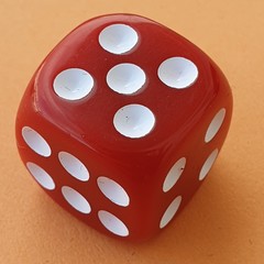 colorful dices on the table