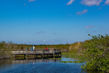 Fototapeta na wymiar Everglades Nationalpark