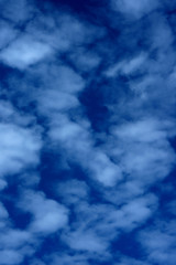 雲