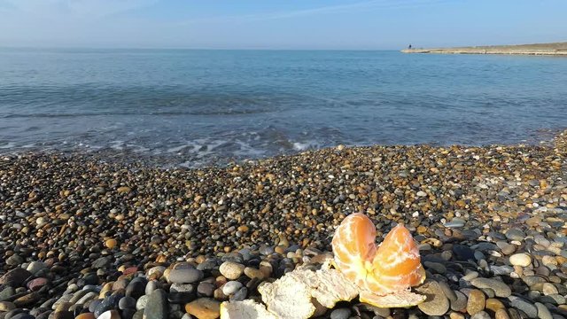 orange lies on a pebbly beach against the sea. ecotourism and consumption of natural and organic fruits. Concept harmony between recreation and ecology. diet based primarily on plant-based foods.
