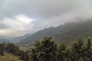 Panorama of mountains forest scenery hills at dawn fog