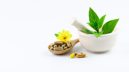 Herbal medicine, vitamin and antioxidant supplement, dietary nutrition food for good health