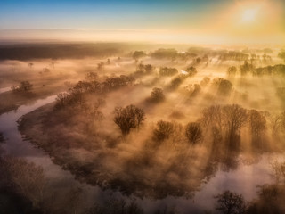 Promienie słońca wśród mgieł nad starorzeczem Warty © Piotr Gołębniak