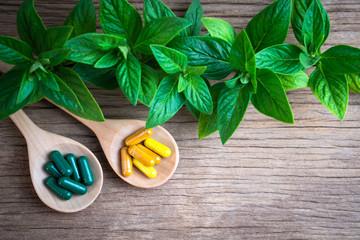 Herbal medicine, vitamin and antioxidant supplement, dietary nutrition food for good health