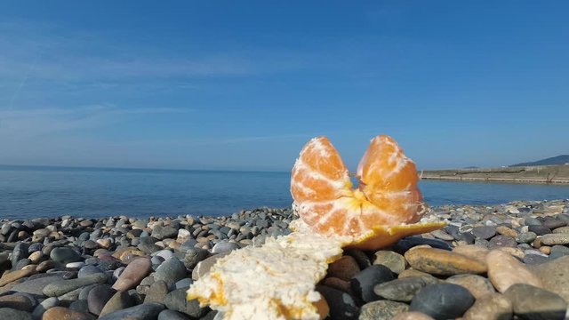 orange lies on a pebbly beach against the sea. ecotourism and consumption of natural and organic fruits. Concept harmony between recreation and ecology. diet based primarily on plant-based foods.