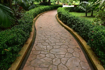 cement stone pathway in green natural park
