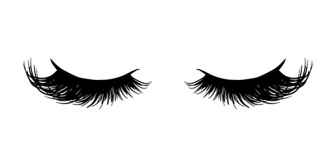 Long black lashes vector illustration. Beautiful Eyelashes isolated on white - 328687920