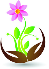 hand flower logo