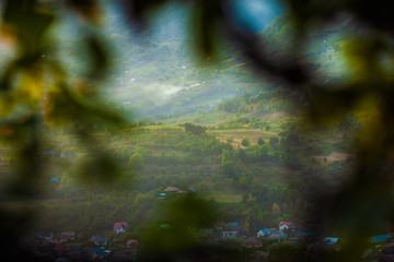 Green landscape, fields and hills in the distance, agricultural area seen through green leaves