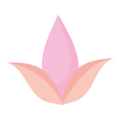 Obraz na płótnie Canvas flowers petal flourish decoration icon