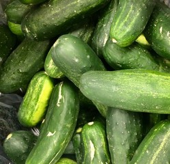 fresh cucumbers for sale at farmers market