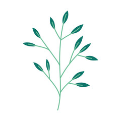 branch leaves foliage natural botanical icon