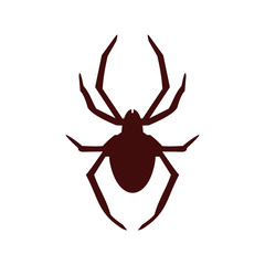 Spider vector icon illustration sign