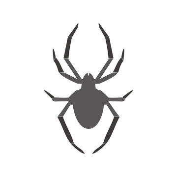 Spider vector icon illustration sign