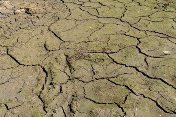 The dry ground separates. With a small grass beginning to appear.
