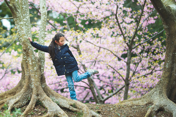 桜の花を見る少女