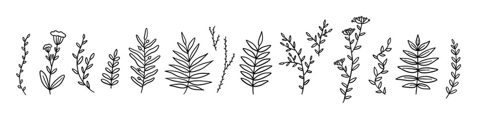 Set of hand drawn line twigs. Stock vector illustration isolated.