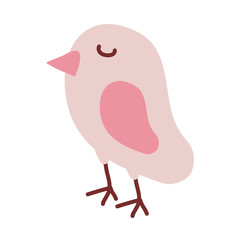 cute bird on white background
