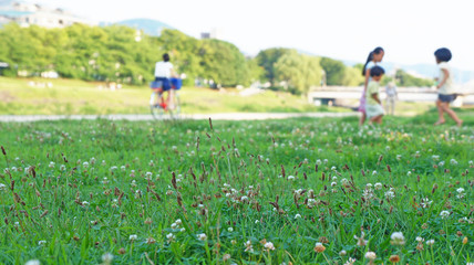 Fototapeta premium ピクニック 