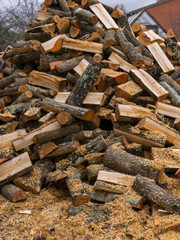 landscape with a ridge of wood in the yard