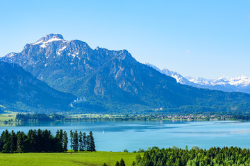 Fr&uuml;hlingshafte Natur am Forggensee im Ostallg&auml;u