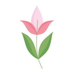 flowers season spring nature decoration icon