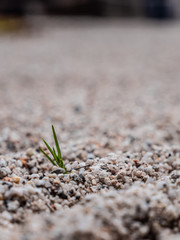 Macro Photography of Small Rocks - Wallpaper