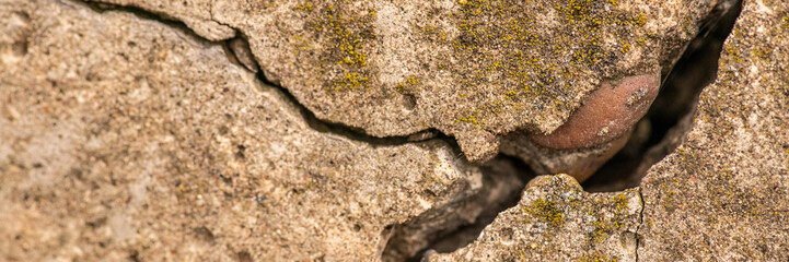 Cracked concrete texture closeup. Abstract cement background