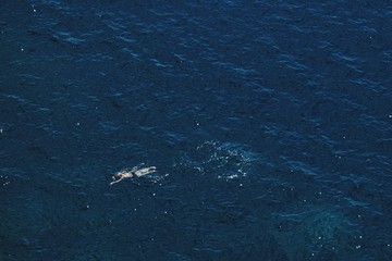 Swimming in the sea