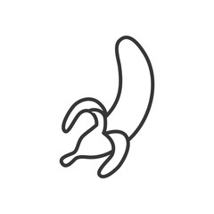 Isolated banana line style icon vector design