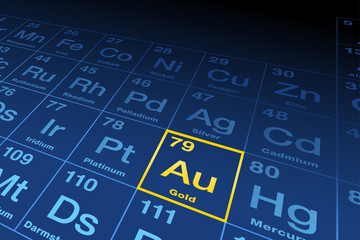 Element gold on the periodic table of elements. Chemical element with the Latin name aurum, symbol Au and atomic number 79, a transition metal. English labeled, yellow and blue illustration. Vector.