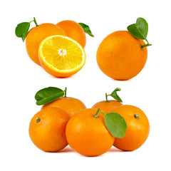 Set of fresh oranges isolated on white background.