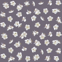 Seamless pattern with apricot blossom. Vector spring pattern on brown background. Floral background. Best for fabric, wrapping paper, home design. 