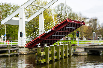 Mały most na kanale wodnym - obrazy, fototapety, plakaty