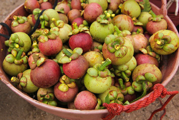 Organic Mangosteen from Keereewong, southern of Thailand. 