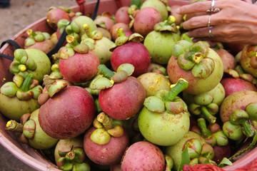 Organic Mangosteen from Keereewong, southern of Thailand. 