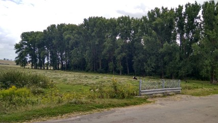 road in the countryside