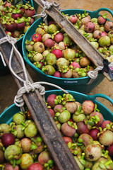 Organic Mangosteen from Keereewong, southern of Thailand. 
