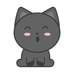 cute cat on white background, feline domestic