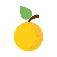 fresh and delicious orange on white background