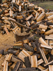 a landscape with a log of wood and an ax in the center