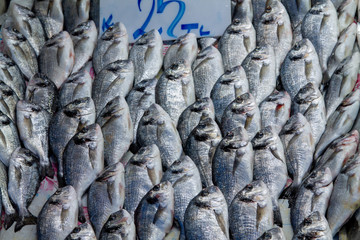 Dorada fish at a street fish market in the Turkish city of Kayseri