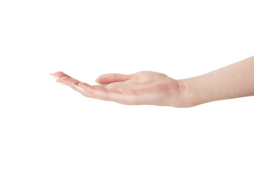 the female hand is turned by a palm in top is isolated on a white background