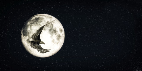eagle flying with the moon in the background